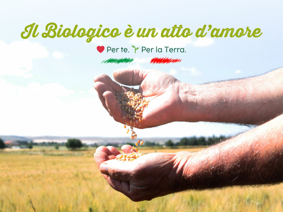 il-biologico-un-atto-d-amore-pasta-lori